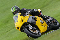 Yellow Bikes