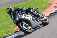 Novice Group Silver/Grey Bikes