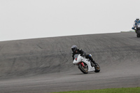 Fast White Bikes