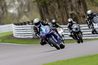 anglesey;brands-hatch;cadwell-park;croft;donington-park;enduro-digital-images;event-digital-images;eventdigitalimages;mallory;no-limits;oulton-park;peter-wileman-photography;racing-digital-images;silverstone;snetterton;trackday-digital-images;trackday-photos;vmcc-banbury-run;welsh-2-day-enduro