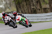 anglesey;brands-hatch;cadwell-park;croft;donington-park;enduro-digital-images;event-digital-images;eventdigitalimages;mallory;no-limits;oulton-park;peter-wileman-photography;racing-digital-images;silverstone;snetterton;trackday-digital-images;trackday-photos;vmcc-banbury-run;welsh-2-day-enduro
