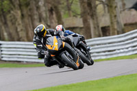 anglesey;brands-hatch;cadwell-park;croft;donington-park;enduro-digital-images;event-digital-images;eventdigitalimages;mallory;no-limits;oulton-park;peter-wileman-photography;racing-digital-images;silverstone;snetterton;trackday-digital-images;trackday-photos;vmcc-banbury-run;welsh-2-day-enduro