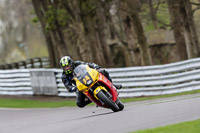 anglesey;brands-hatch;cadwell-park;croft;donington-park;enduro-digital-images;event-digital-images;eventdigitalimages;mallory;no-limits;oulton-park;peter-wileman-photography;racing-digital-images;silverstone;snetterton;trackday-digital-images;trackday-photos;vmcc-banbury-run;welsh-2-day-enduro