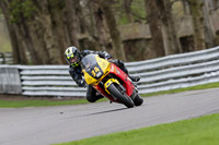 anglesey;brands-hatch;cadwell-park;croft;donington-park;enduro-digital-images;event-digital-images;eventdigitalimages;mallory;no-limits;oulton-park;peter-wileman-photography;racing-digital-images;silverstone;snetterton;trackday-digital-images;trackday-photos;vmcc-banbury-run;welsh-2-day-enduro