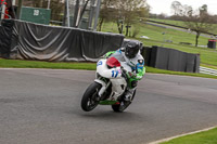 anglesey;brands-hatch;cadwell-park;croft;donington-park;enduro-digital-images;event-digital-images;eventdigitalimages;mallory;no-limits;oulton-park;peter-wileman-photography;racing-digital-images;silverstone;snetterton;trackday-digital-images;trackday-photos;vmcc-banbury-run;welsh-2-day-enduro