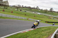 Advanced Group Yellow Bikes
