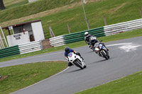 ACU Group White Bikes