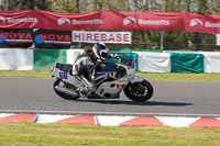 Advanced Group White Bikes