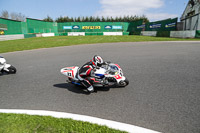 enduro-digital-images;event-digital-images;eventdigitalimages;mallory-park;mallory-park-photographs;mallory-park-trackday;mallory-park-trackday-photographs;no-limits-trackdays;peter-wileman-photography;racing-digital-images;trackday-digital-images;trackday-photos