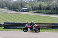 cadwell-park;cadwell-park-photographs;cadwell-trackday-photographs;enduro-digital-images;event-digital-images;eventdigitalimages;peter-wileman-photography;racing-digital-images;trackday-digital-images;trackday-photos
