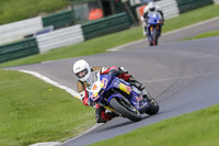 cadwell-no-limits-trackday;cadwell-park;cadwell-park-photographs;cadwell-trackday-photographs;enduro-digital-images;event-digital-images;eventdigitalimages;no-limits-trackdays;peter-wileman-photography;racing-digital-images;trackday-digital-images;trackday-photos