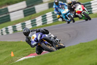 cadwell-no-limits-trackday;cadwell-park;cadwell-park-photographs;cadwell-trackday-photographs;enduro-digital-images;event-digital-images;eventdigitalimages;no-limits-trackdays;peter-wileman-photography;racing-digital-images;trackday-digital-images;trackday-photos