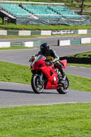 Middle Group Red Bikes