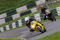 cadwell-no-limits-trackday;cadwell-park;cadwell-park-photographs;cadwell-trackday-photographs;enduro-digital-images;event-digital-images;eventdigitalimages;no-limits-trackdays;peter-wileman-photography;racing-digital-images;trackday-digital-images;trackday-photos