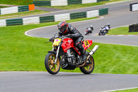 Advanced Group Red Bikes