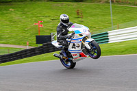 Advanced Group White Bikes