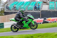 Lower Group Green Bikes