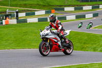 cadwell-no-limits-trackday;cadwell-park;cadwell-park-photographs;cadwell-trackday-photographs;enduro-digital-images;event-digital-images;eventdigitalimages;no-limits-trackdays;peter-wileman-photography;racing-digital-images;trackday-digital-images;trackday-photos