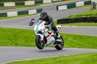 cadwell-no-limits-trackday;cadwell-park;cadwell-park-photographs;cadwell-trackday-photographs;enduro-digital-images;event-digital-images;eventdigitalimages;no-limits-trackdays;peter-wileman-photography;racing-digital-images;trackday-digital-images;trackday-photos