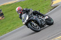 Middle Group Black Bikes