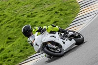 Advanced Group White Bikes