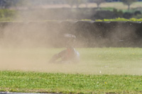 enduro-digital-images;event-digital-images;eventdigitalimages;no-limits-trackdays;peter-wileman-photography;racing-digital-images;snetterton;snetterton-no-limits-trackday;snetterton-photographs;snetterton-trackday-photographs;trackday-digital-images;trackday-photos