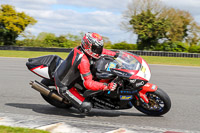 Middle Group Black Bikes