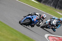 anglesey;brands-hatch;cadwell-park;croft;donington-park;enduro-digital-images;event-digital-images;eventdigitalimages;mallory;no-limits;oulton-park;peter-wileman-photography;racing-digital-images;silverstone;snetterton;trackday-digital-images;trackday-photos;vmcc-banbury-run;welsh-2-day-enduro