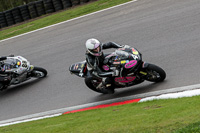 anglesey;brands-hatch;cadwell-park;croft;donington-park;enduro-digital-images;event-digital-images;eventdigitalimages;mallory;no-limits;oulton-park;peter-wileman-photography;racing-digital-images;silverstone;snetterton;trackday-digital-images;trackday-photos;vmcc-banbury-run;welsh-2-day-enduro