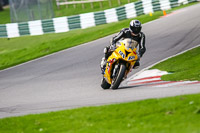 Advanced Group Yellow Bikes