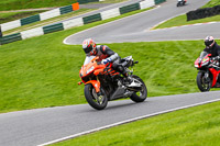 cadwell-no-limits-trackday;cadwell-park;cadwell-park-photographs;cadwell-trackday-photographs;enduro-digital-images;event-digital-images;eventdigitalimages;no-limits-trackdays;peter-wileman-photography;racing-digital-images;trackday-digital-images;trackday-photos
