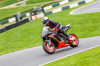 cadwell-no-limits-trackday;cadwell-park;cadwell-park-photographs;cadwell-trackday-photographs;enduro-digital-images;event-digital-images;eventdigitalimages;no-limits-trackdays;peter-wileman-photography;racing-digital-images;trackday-digital-images;trackday-photos