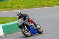 enduro-digital-images;event-digital-images;eventdigitalimages;mallory-park;mallory-park-photographs;mallory-park-trackday;mallory-park-trackday-photographs;no-limits-trackdays;peter-wileman-photography;racing-digital-images;trackday-digital-images;trackday-photos