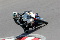 anglesey;brands-hatch;cadwell-park;croft;donington-park;enduro-digital-images;event-digital-images;eventdigitalimages;mallory;no-limits;oulton-park;peter-wileman-photography;racing-digital-images;silverstone;snetterton;trackday-digital-images;trackday-photos;vmcc-banbury-run;welsh-2-day-enduro