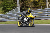 Advanced Group Yellow Bikes