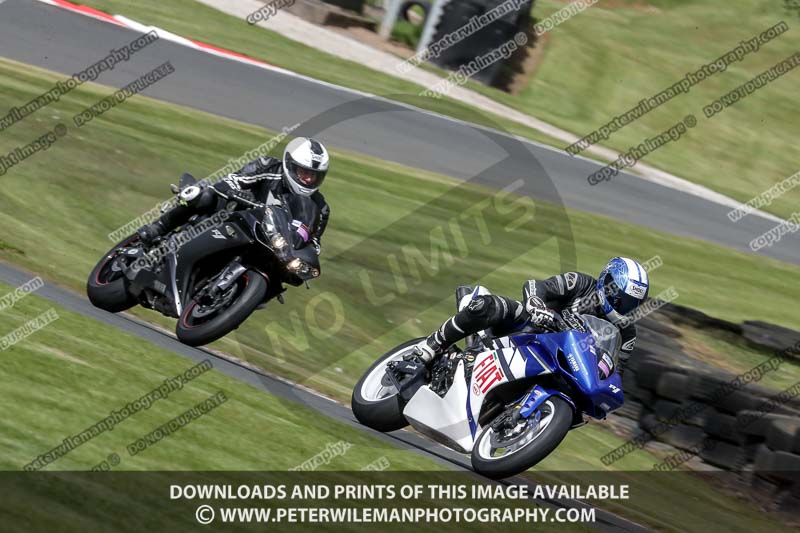 anglesey;brands hatch;cadwell park;croft;donington park;enduro digital images;event digital images;eventdigitalimages;mallory;no limits;oulton park;peter wileman photography;racing digital images;silverstone;snetterton;trackday digital images;trackday photos;vmcc banbury run;welsh 2 day enduro