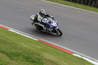 anglesey;brands-hatch;cadwell-park;croft;donington-park;enduro-digital-images;event-digital-images;eventdigitalimages;mallory;no-limits;oulton-park;peter-wileman-photography;racing-digital-images;silverstone;snetterton;trackday-digital-images;trackday-photos;vmcc-banbury-run;welsh-2-day-enduro