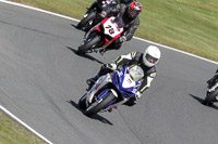 anglesey;brands-hatch;cadwell-park;croft;donington-park;enduro-digital-images;event-digital-images;eventdigitalimages;mallory;no-limits;oulton-park;peter-wileman-photography;racing-digital-images;silverstone;snetterton;trackday-digital-images;trackday-photos;vmcc-banbury-run;welsh-2-day-enduro