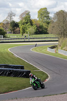 Lower Group Green Bikes