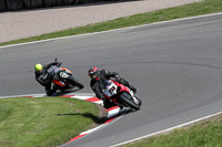 anglesey;brands-hatch;cadwell-park;croft;donington-park;enduro-digital-images;event-digital-images;eventdigitalimages;mallory;no-limits;oulton-park;peter-wileman-photography;racing-digital-images;silverstone;snetterton;trackday-digital-images;trackday-photos;vmcc-banbury-run;welsh-2-day-enduro