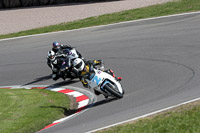 Lower Group White Bikes