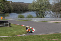 Middle Group Orange Bikes