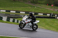Advanced Group White Bikes