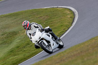 Eve Adv/Mid Group White Bikes