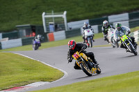 Eve Low/Mid Group Yellow Bikes