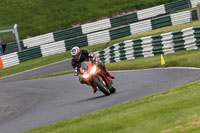 Middle Group Multicolour Bikes