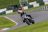 Middle Group Silver/Grey Bikes