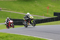 cadwell-no-limits-trackday;cadwell-park;cadwell-park-photographs;cadwell-trackday-photographs;enduro-digital-images;event-digital-images;eventdigitalimages;no-limits-trackdays;peter-wileman-photography;racing-digital-images;trackday-digital-images;trackday-photos