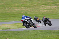Lower Group White Bikes