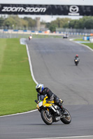 Lower Group Yellow Bikes
